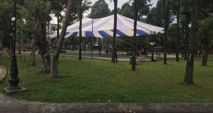 Hình ảnh : dù che nắng sự kiện Hoà Phát Đạt Tại Vĩnh Long