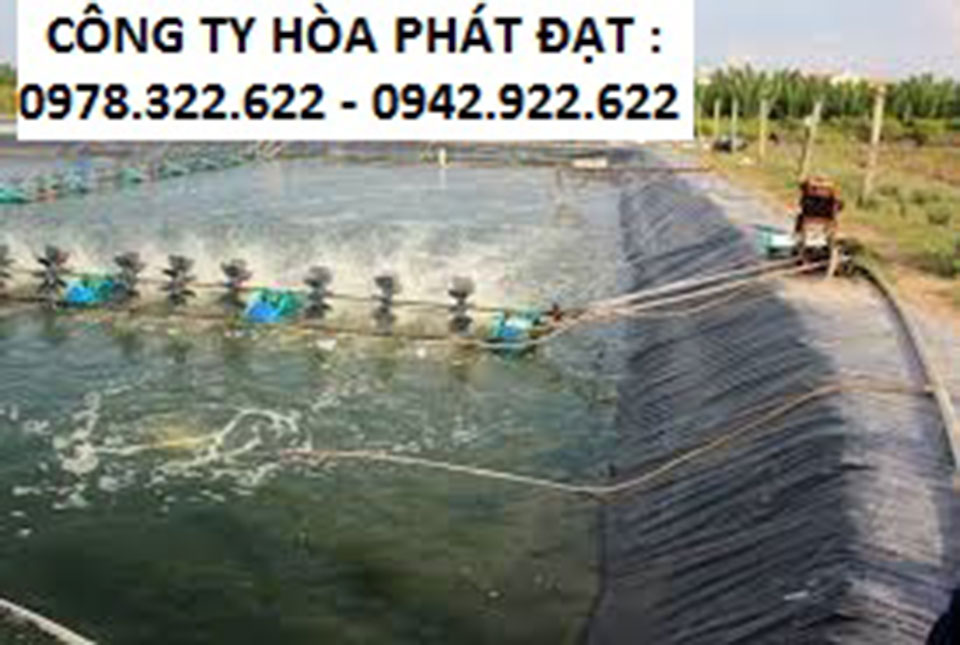Hình ảnh : bạt chống thấm HDPE lót ao hồ nuôi tom cá thủy sản Hòa Phát Đạt