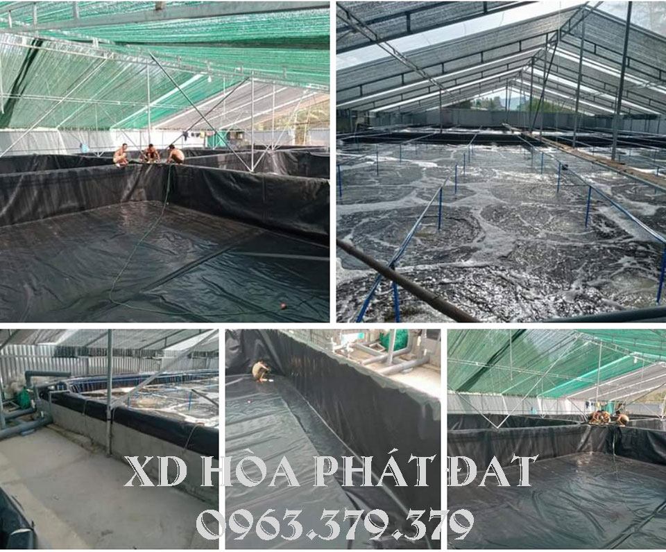 Hình ảnh : bạt chống thấm HDPE lót ao hồ nuôi tom cá thủy sản Hòa Phát Đạt