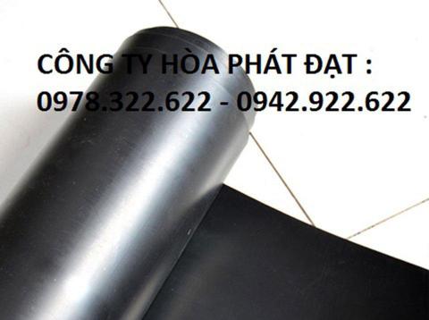 Báo giá bạt lót ao hồ HDPE chứa nước nuôi tôm cá tại Bình Phước Tp Đồng Xoài giá rẻ