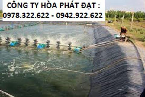 Báo giá bạt lót ao hồ HDPE chứa nước nuôi tôm cá tại Lai Châu giá rẻ