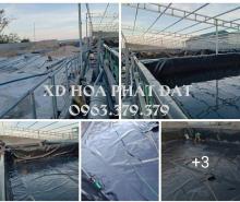 Báo giá bạt lót ao hồ HDPE chứa nước nuôi tôm cá tại Quảng Ninh Tp Hạ Long giá rẻ