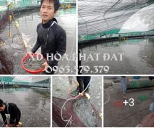 Báo giá bạt lót ao hồ HDPE chứa nước nuôi tôm cá tại Hưng Yên giá rẻ